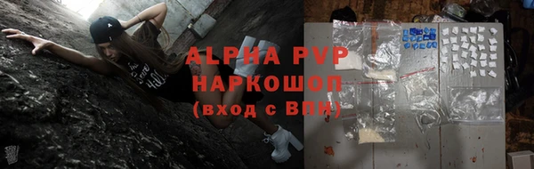 стаф Богданович