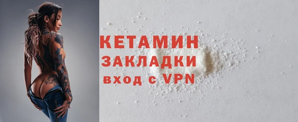 стаф Богданович