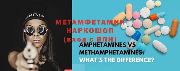 стаф Богданович