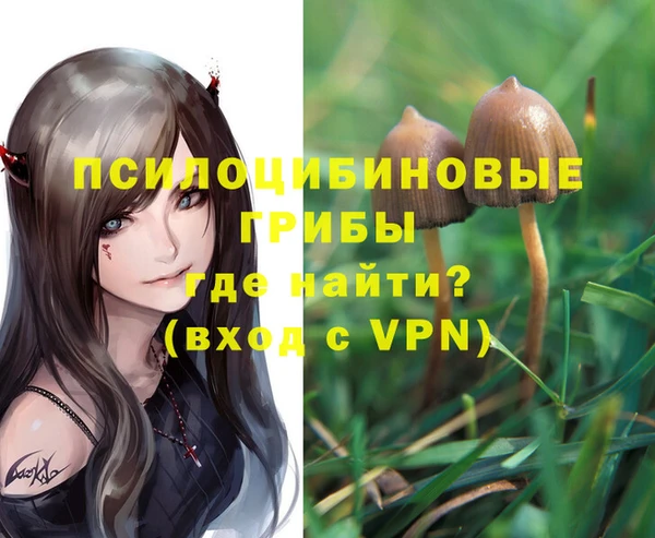 стаф Богданович