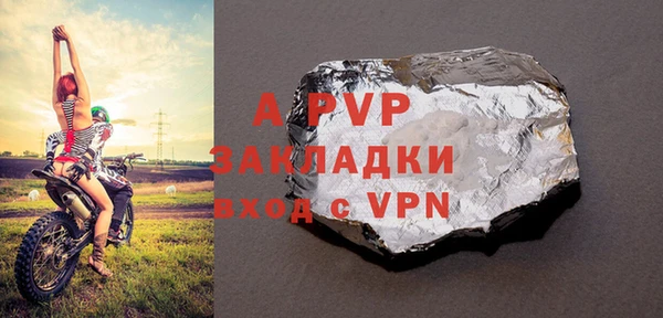 стаф Богданович
