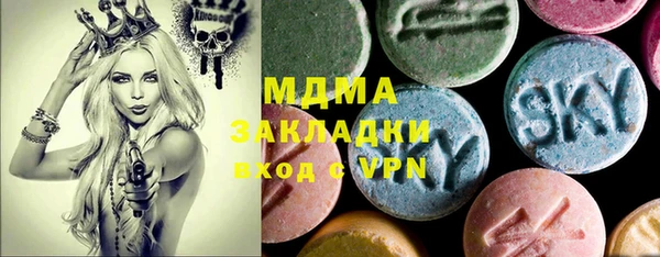 стаф Богданович