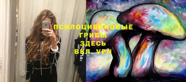 стаф Богданович
