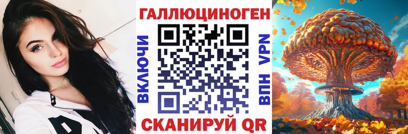 shop клад  Ессентуки  Псилоцибиновые грибы Psilocybe 