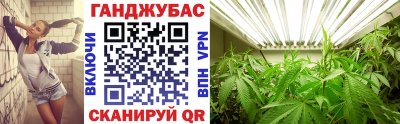 где найти   Ессентуки  мориарти состав  Канабис гибрид 